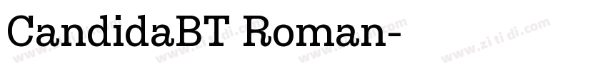 CandidaBT Roman字体转换